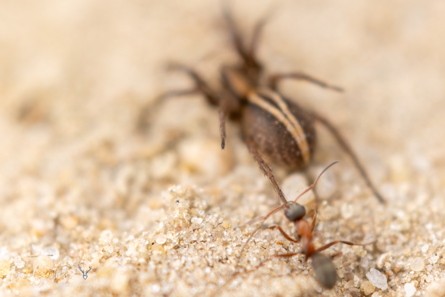 14 mei 2023 161301  R2A1648